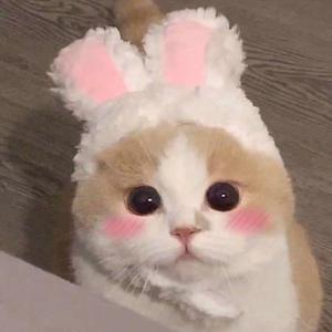 好爽⋯要高潮了⋯哪吒微博
